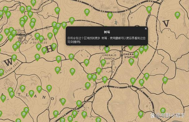 荒野大镖客2红树莓怎么吃缩略图