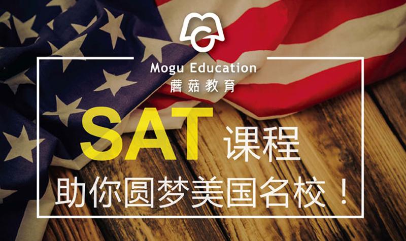 蘑菇培训班哪里最好缩略图