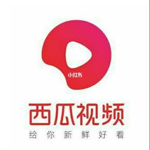 西瓜视频结算游戏截图