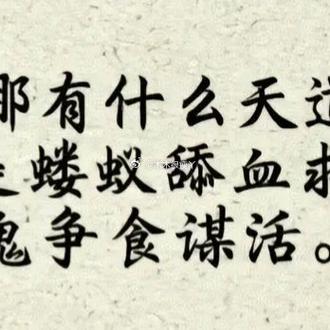 兵蚁为什么杀死工蚁缩略图