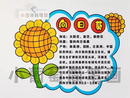 向日葵资料简介图标