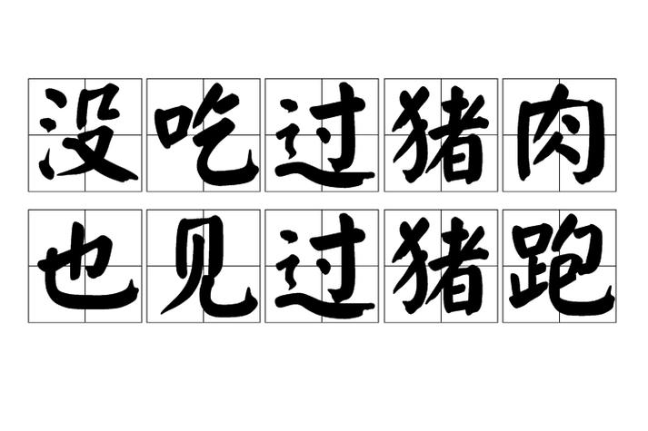 没吃过猪肉难道没见过猪跑吗游戏截图