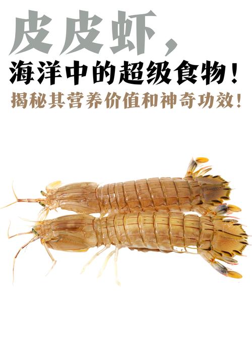 皮皮虾为何叫癌症之王缩略图