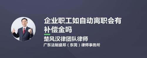 员工自动离职有补偿吗游戏截图