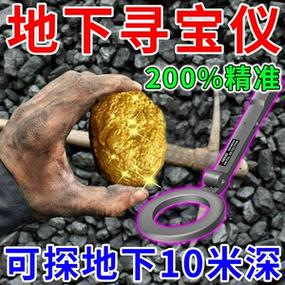 进山调寻宝探测器游戏截图