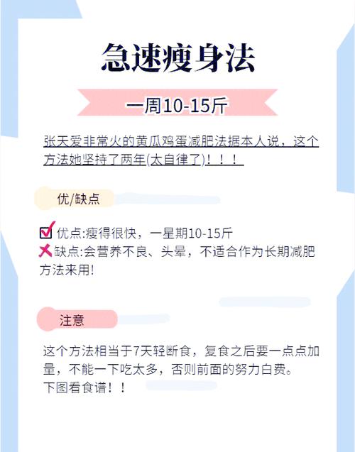 不吃饭能减肥吗游戏截图