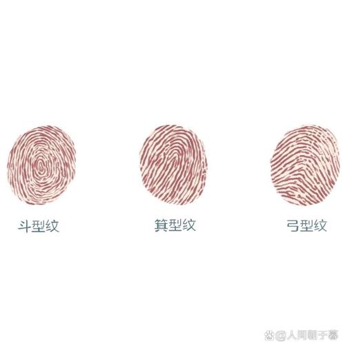 开启指纹支付缩略图