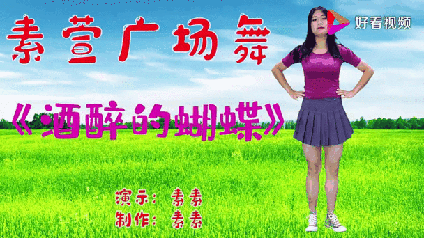 酒醉的蝴蝶现场版游戏截图
