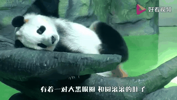 熊猫省钱是真的吗缩略图