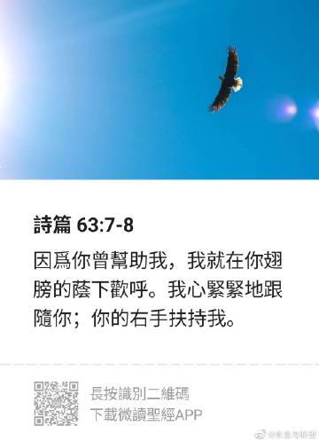圣经讲章讲道大全免费缩略图