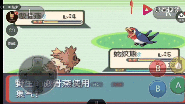 口袋妖怪蛇纹木穿墙金手指缩略图