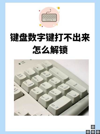 苹果键盘数字键打不出数字缩略图