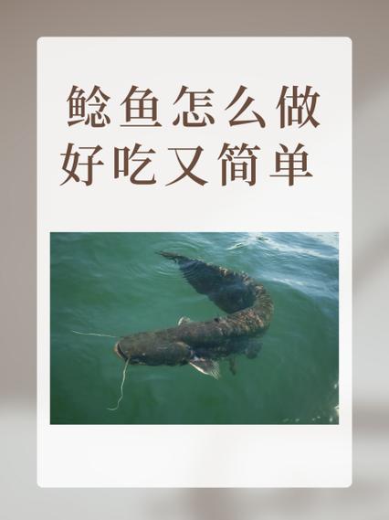鲶鱼怎么做好吃又简单缩略图