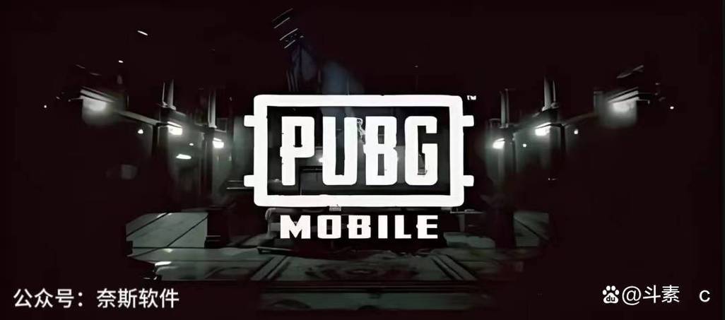 pubgmobile亚服下载入口缩略图