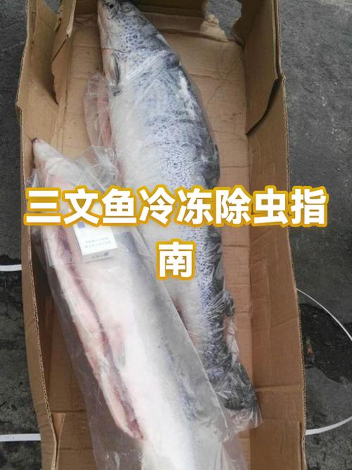三文鱼能冻不能冷冻缩略图