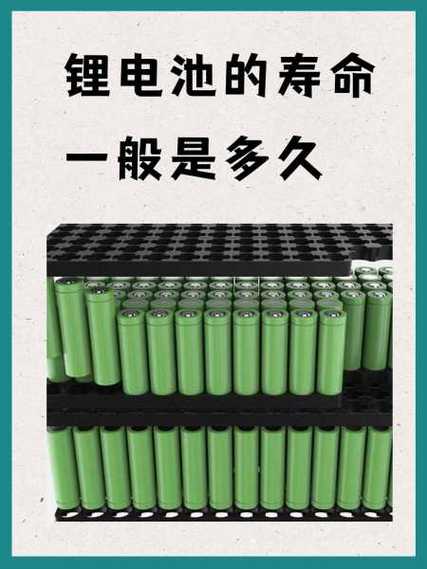 60伏锂一般寿命几年游戏截图