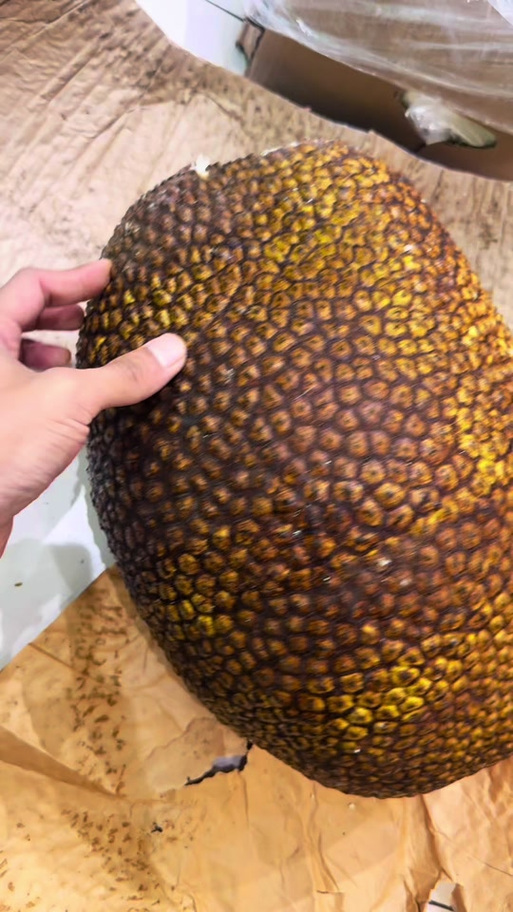 菠萝蜜隔夜可以吃吗缩略图