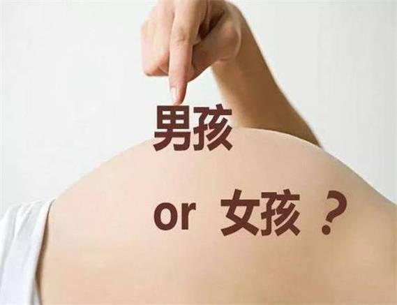萌宝是男孩还是女孩游戏截图