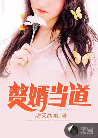 入赘为婿岳风笔趣阁缩略图