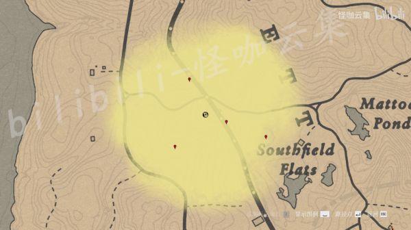 荒野乱斗无限金币钻石版缩略图