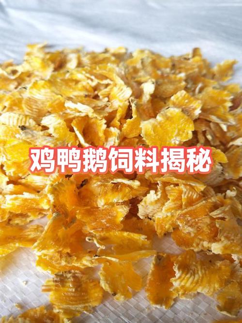 鸡鸭鹅谁的营养价值高缩略图