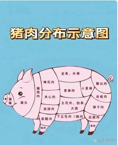 猪肉六两肉是什么部位缩略图