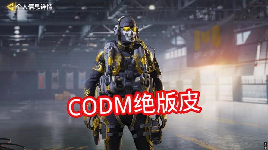 codm美化包下载网址缩略图