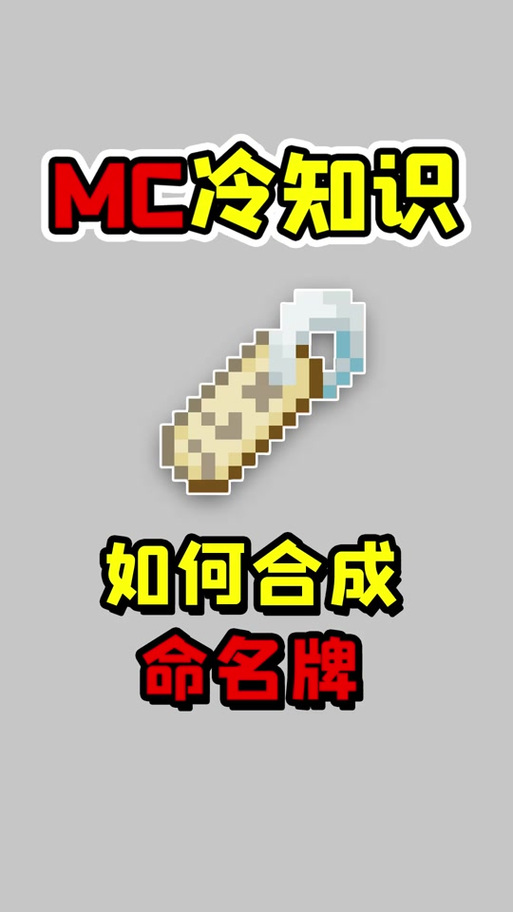 我的世界 命名牌图标
