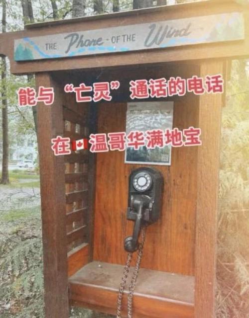 查看已删除的通话记录缩略图