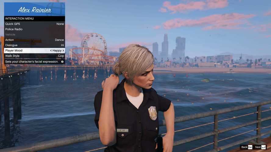 浪小辉GTA5警察MOD菜单功能介绍缩略图