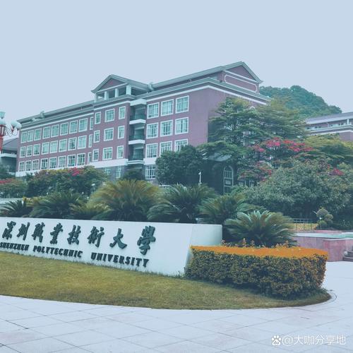 深职院能否走关系进