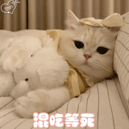 真棒可爱表情包缩略图