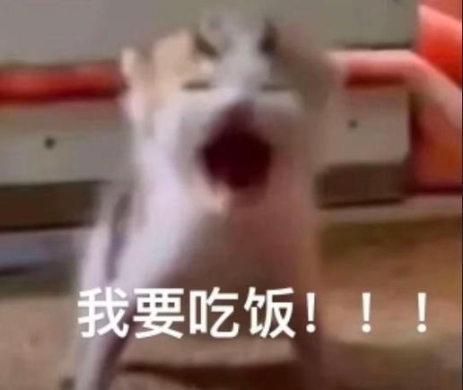 没吃饭?表情包缩略图