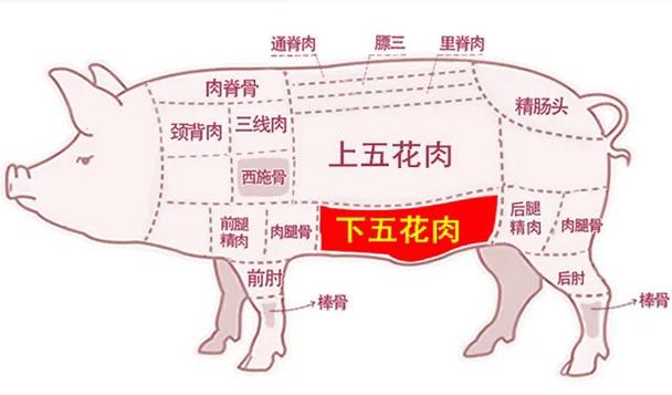 市场上的五花肉怎么买游戏截图