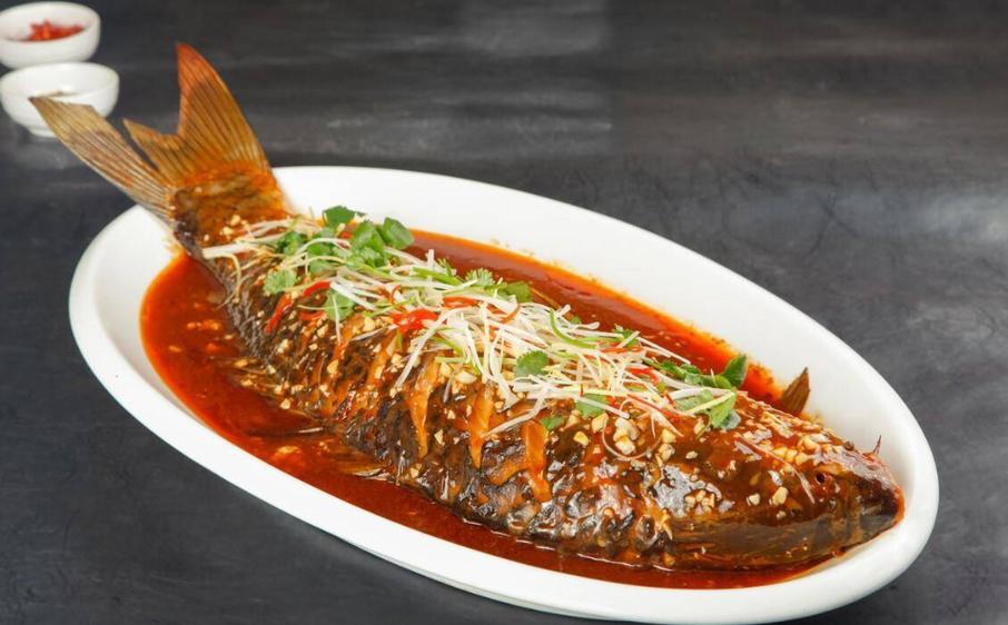 鲤鱼最爱吃的10种食物缩略图