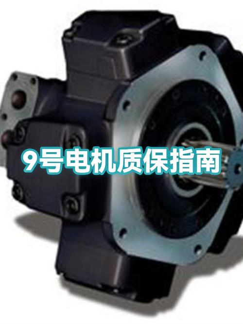 九号电机寿命一般几年缩略图