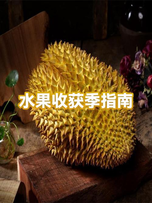 小西红柿是什么季节的水果游戏截图