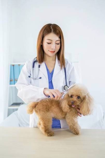 宠物美容师多少钱一个月游戏截图