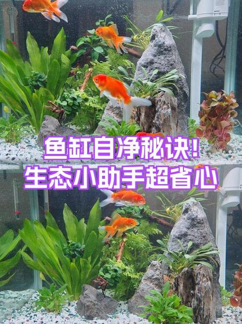 磁力刷擦鱼缸怎么用不伤玻璃游戏截图