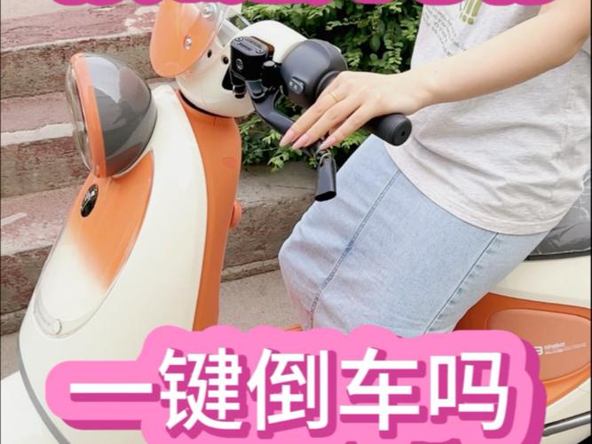 九号电动车一键倒车游戏截图