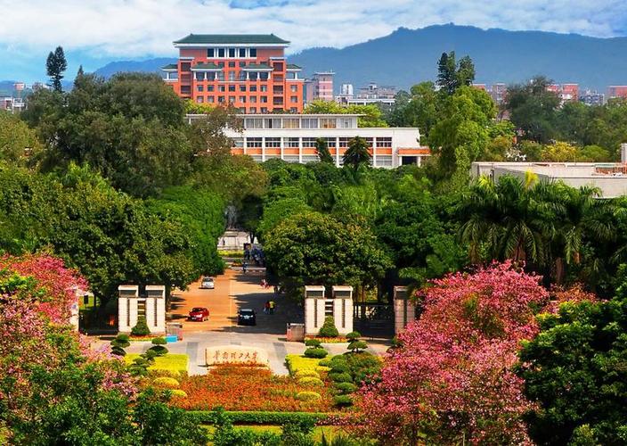华南理工大学2026暑假游戏截图