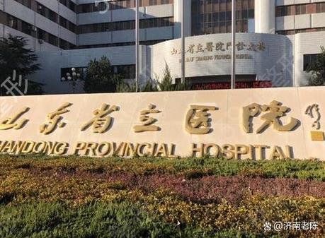 山东省立医院东院官网缩略图