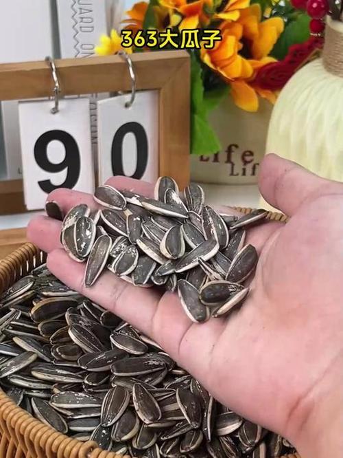 葵花籽12个品种缩略图