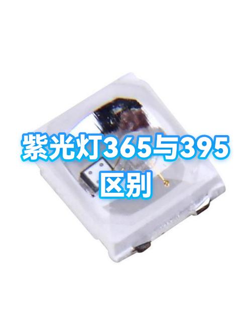紫光365和395的区别缩略图