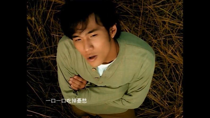 星晴视频免费追剧缩略图