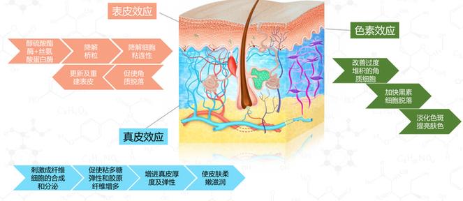 oppo手机主题怎么变成苹果的主题缩略图