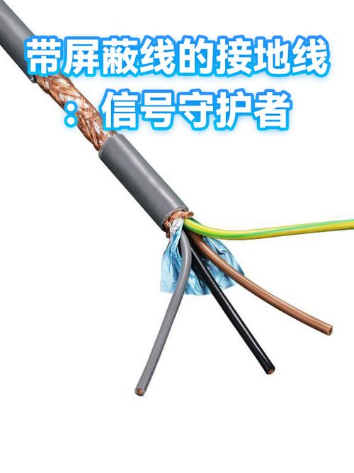 signal安卓版缩略图