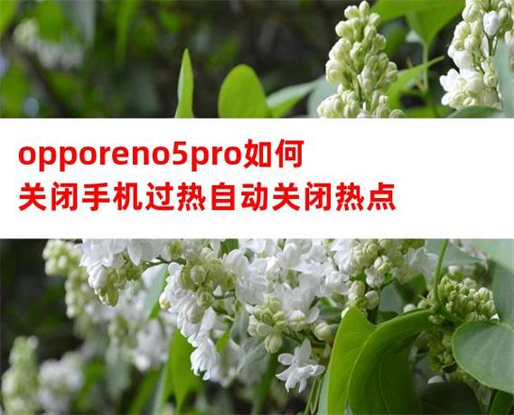 oppo手机过热自动关闭热点缩略图