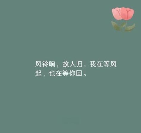 《南风过境》by吴慕苏缩略图