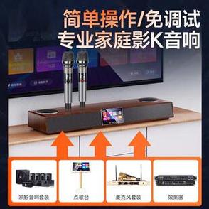 点歌机无线话筒没声音缩略图